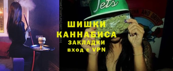 шишки Алзамай