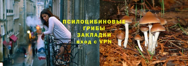 героин Алексин