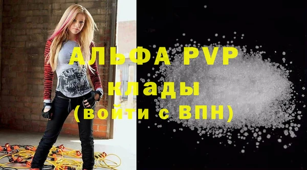 шишки Алзамай