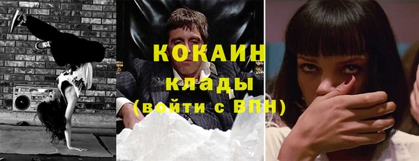 шишки Алзамай